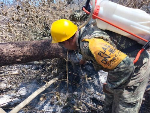 Aplica Ejército Plan DNIIIE en el combate a incendios forestales en Quintana Roo