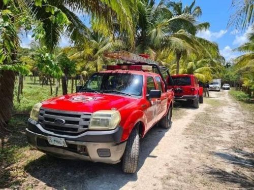 Iris no se “perdió, su familia la abandonó en la selva de Chetumal