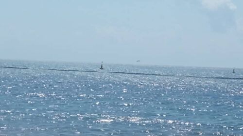 Comienzan a instalar barrera anti sargazo en el litoral de Playa del Carmen