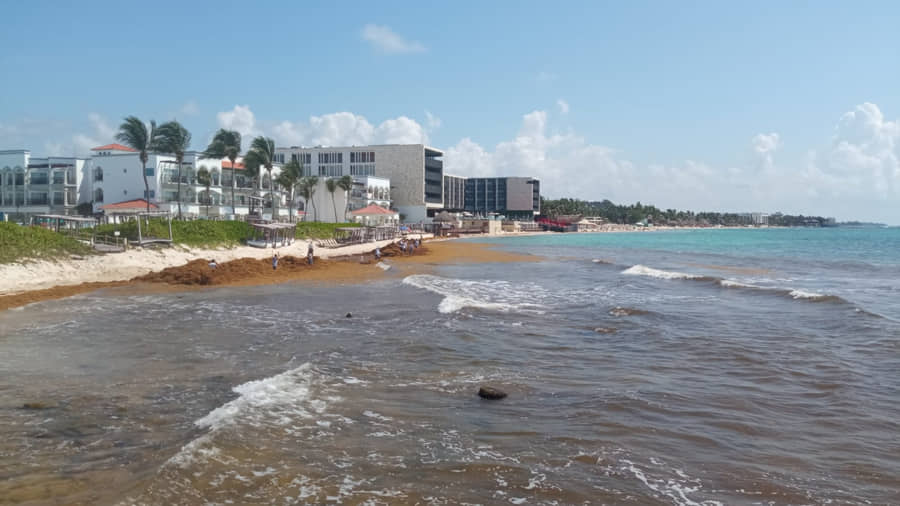 Comienzan a instalar barrera anti sargazo en el litoral de Playa del Carmen