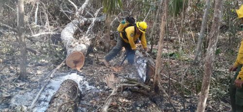 Incendio forestal “San José” consume 2 mil 600 hectáreas de vegetación en Lázaro Cárdenas