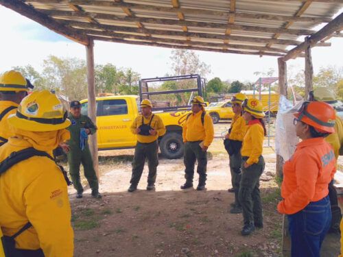 Quintana Roo mantiene bajo control los incendios forestales