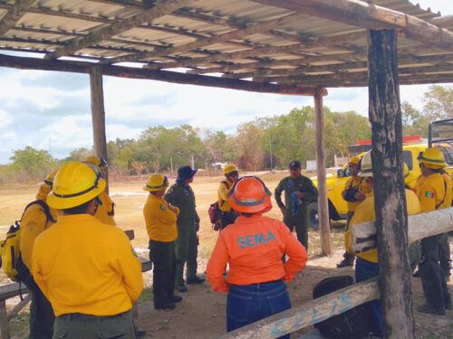 Quintana Roo mantiene bajo control los incendios forestales