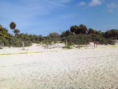 Asesinan a indigente con una piedra en la zona de playa de la Colosio