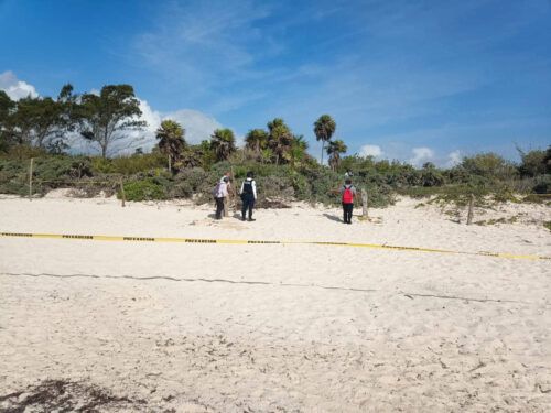 Asesinan a indigente con una piedra en la zona de playa de la Colosio 