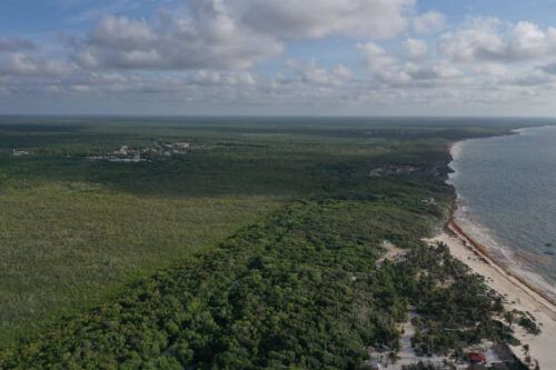 Recupera Sedatu antiguo aeródromo de Tulum; se incorpora al Parque del Jaguar