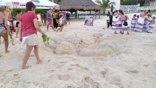 Inicia la temporada de anidación de tortugas marinas en la Riviera Maya