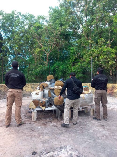 En un año ya se incineraron en Cancún más de tres toneladas de droga, la mayoría cocaína