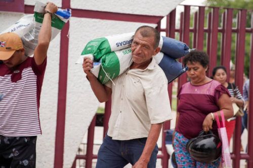 Inicia Mara Lezama entrega de semillas de maíz y fortalece producción del campo