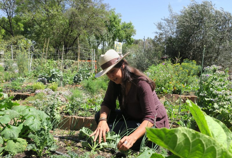 México inicia nueva estimulación de lluvias en el norte para beneficiar agricultura - mexico-inicia-nueva-estimulacion-de-lluvias-en-el-norte-para-beneficiar-agricultura-1024x697