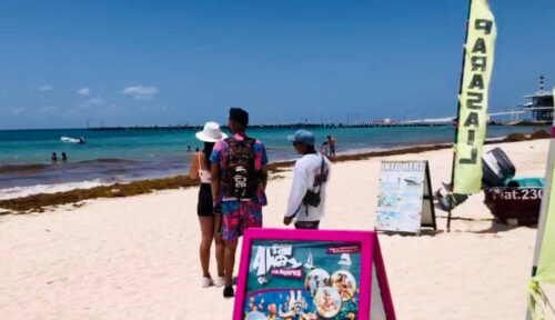 Mejoran las actividades de los prestadores de servicios turísticos en Playa del Carmen