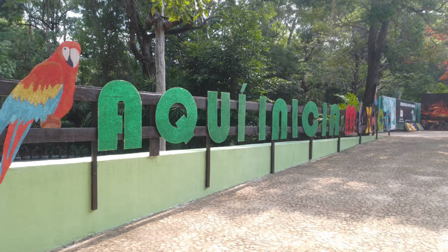 Rehabilitan espacios del zoológico de Chetumal