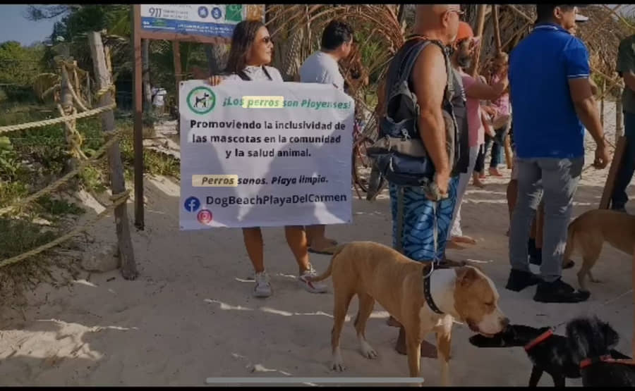 Proponen al Recodo que sea la playa para mascotas en Solidaridad