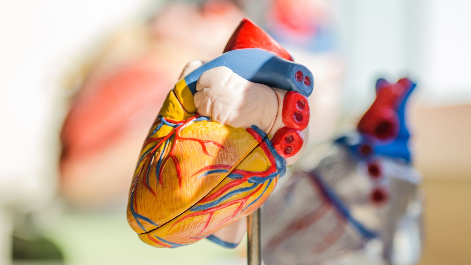 Las enfermedades cardiacas son la mayor causa de muerte en México Las enfermedades cardiacas son la mayor causa de muerte en México