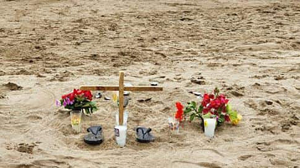 Advierten por presencia de tiburón en costa sur de Jalisco Advierten por presencia de tiburón en costa sur de Jalisco