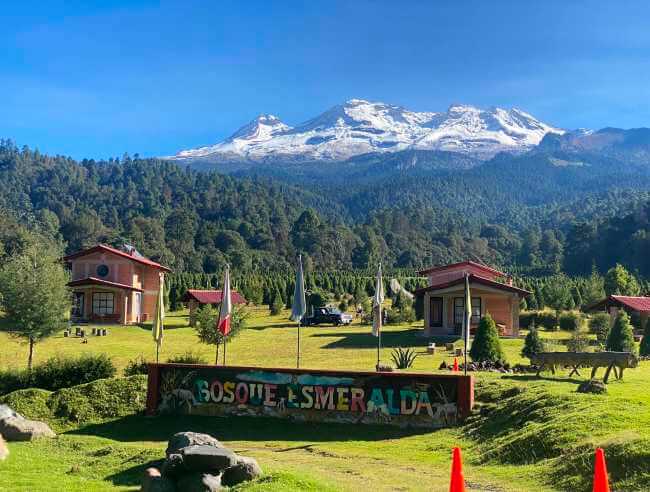 Amecameca, el famoso Bosque de los Árboles de Navidad