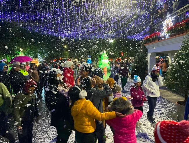 Amecameca, el famoso Bosque de los Árboles de Navidad