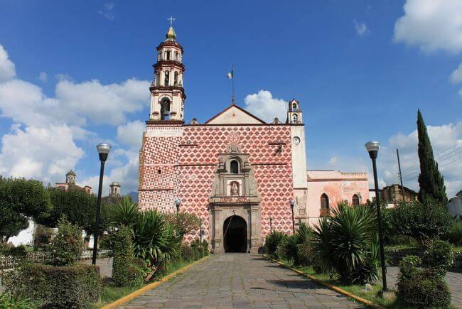 Amecameca, el famoso Bosque de los Árboles de Navidad