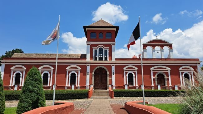 Amecameca, el famoso Bosque de los Árboles de Navidad