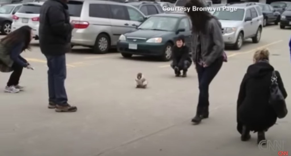 La historia detrás del meme: El origen del 'Artimonki'