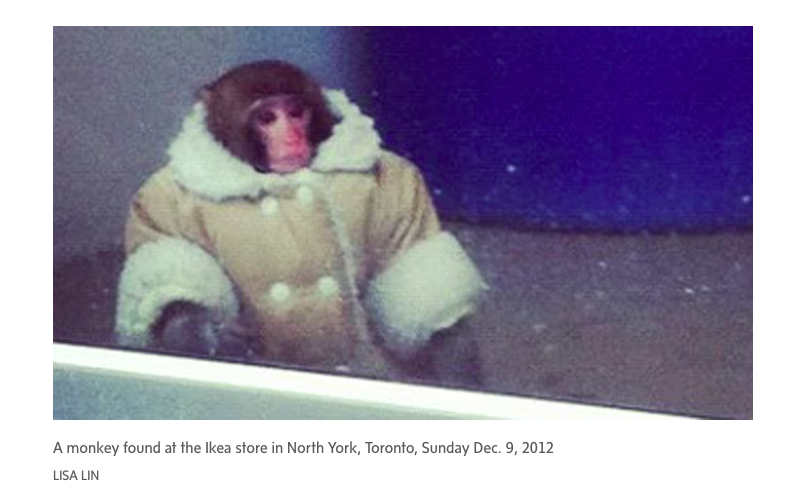 La historia detrás del meme: El origen del 'Artimonki'