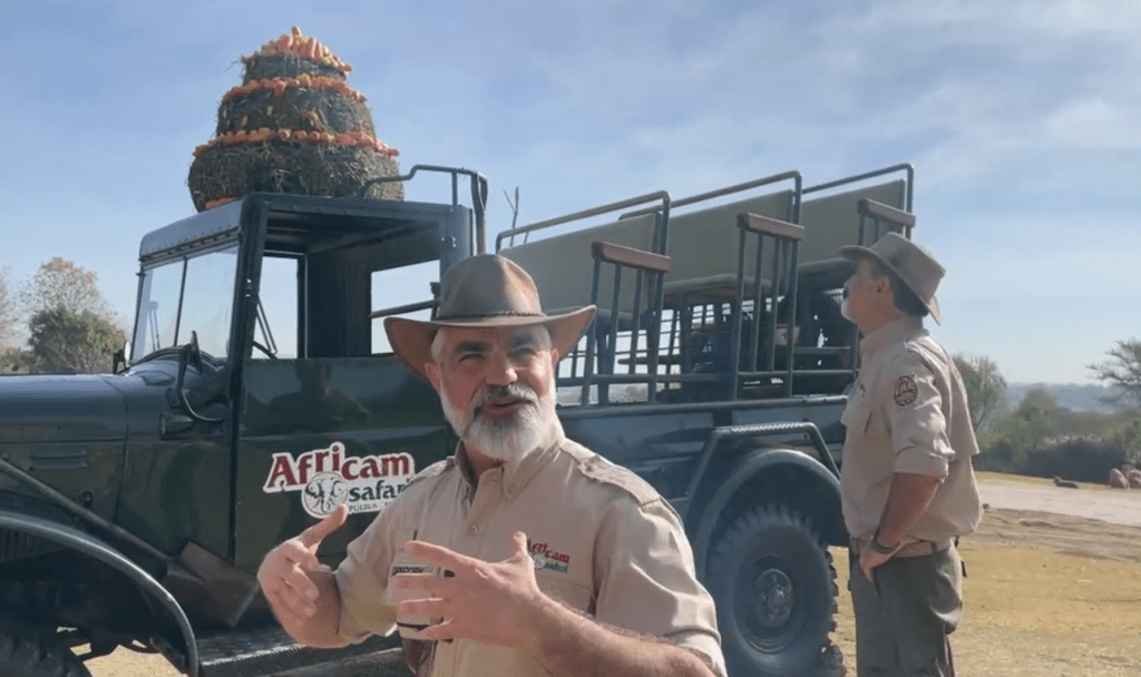 Jirafa Benito conoce a su nueva familia en Africam Safari - pastel-de-zanahorias-1024x608