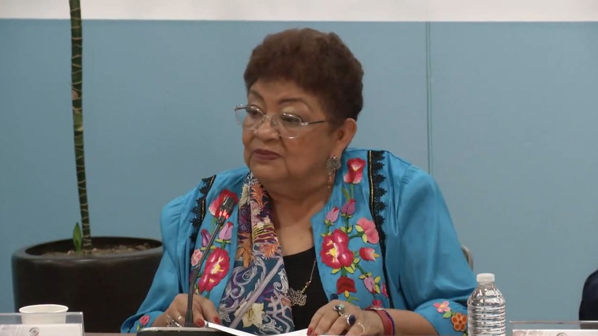 Mario Delgado afirma que incluirán a Ernestina Godoy en encuesta para el Senado Mario Delgado afirma que incluirán a Ernestina Godoy en encuesta para el Senado