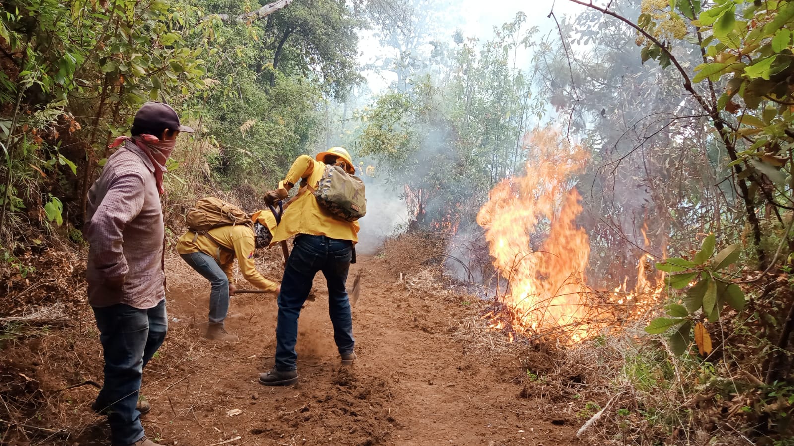Extinguen 23 incendios forestales en Edomex; 6 más siguen activos Extinguen 23 incendios forestales en Edomex; 6 más siguen activos