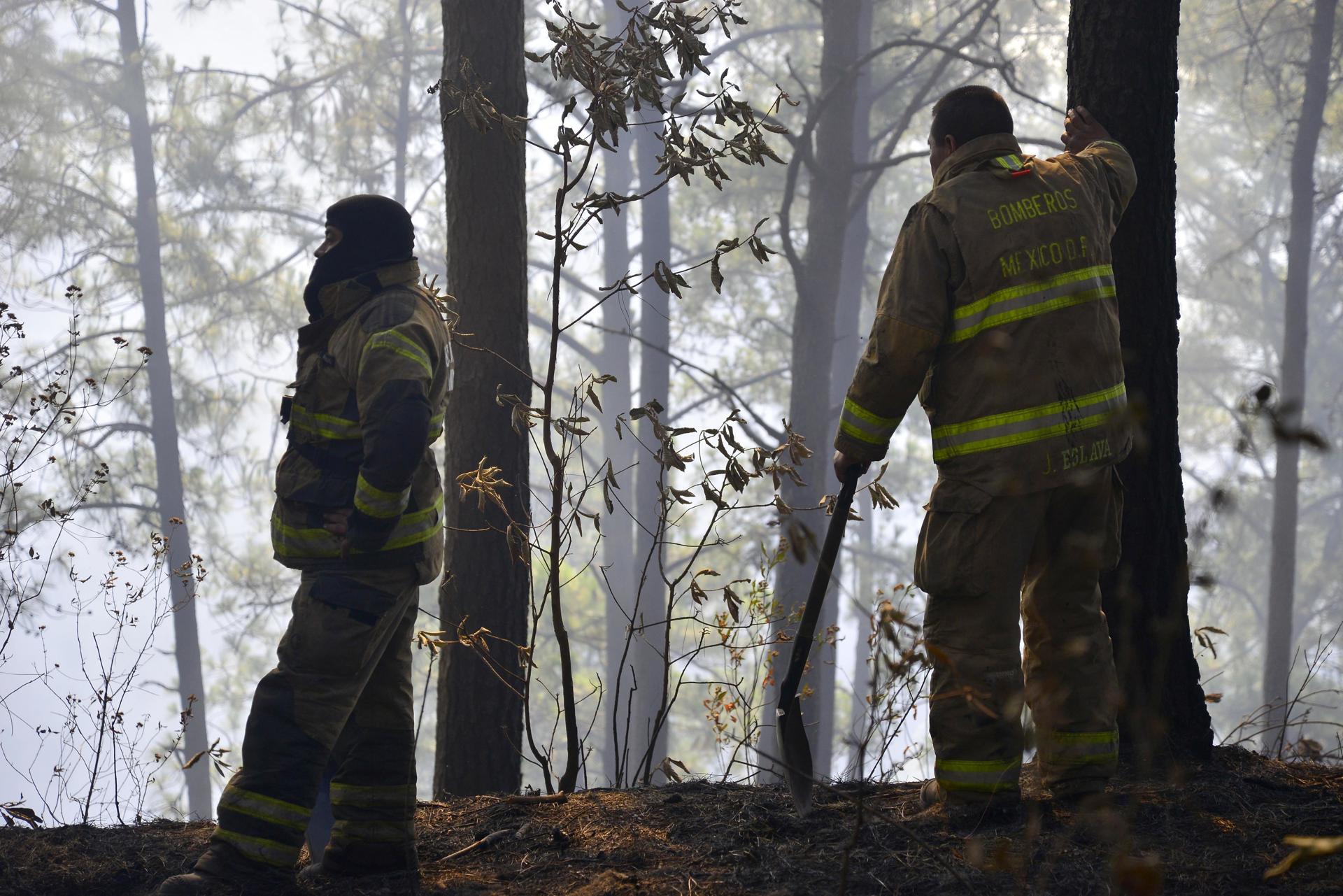 Hay 120 incendios forestales activos en el país: Conafor Hay 120 incendios forestales activos en el país: Conafor