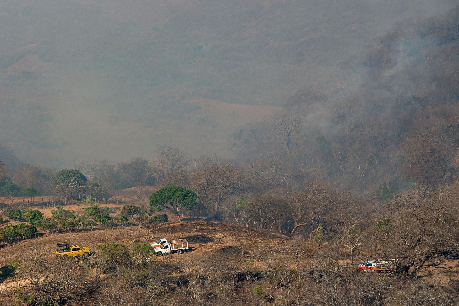 Incendios forestales activos en México suben a 126, informa Conafor