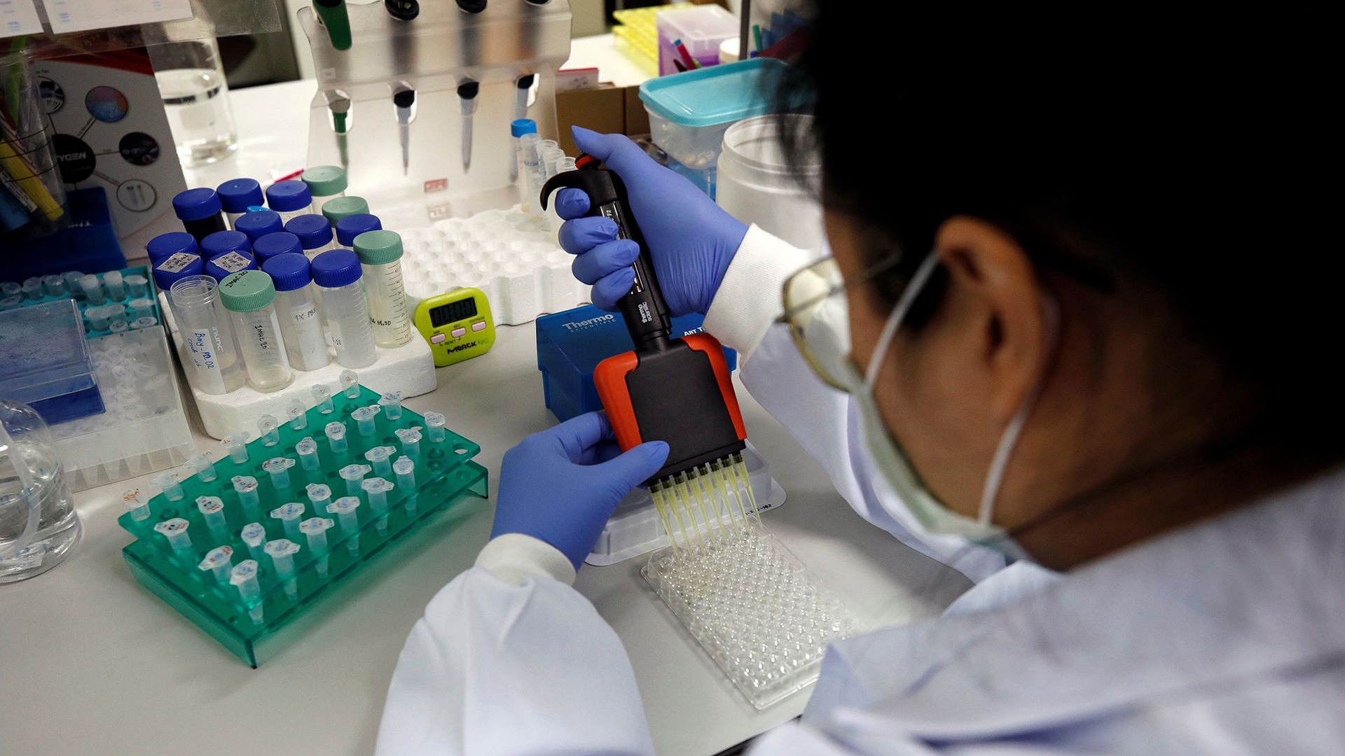 OMS lanza CoViNet, una red global para el estudio de los coronavirus