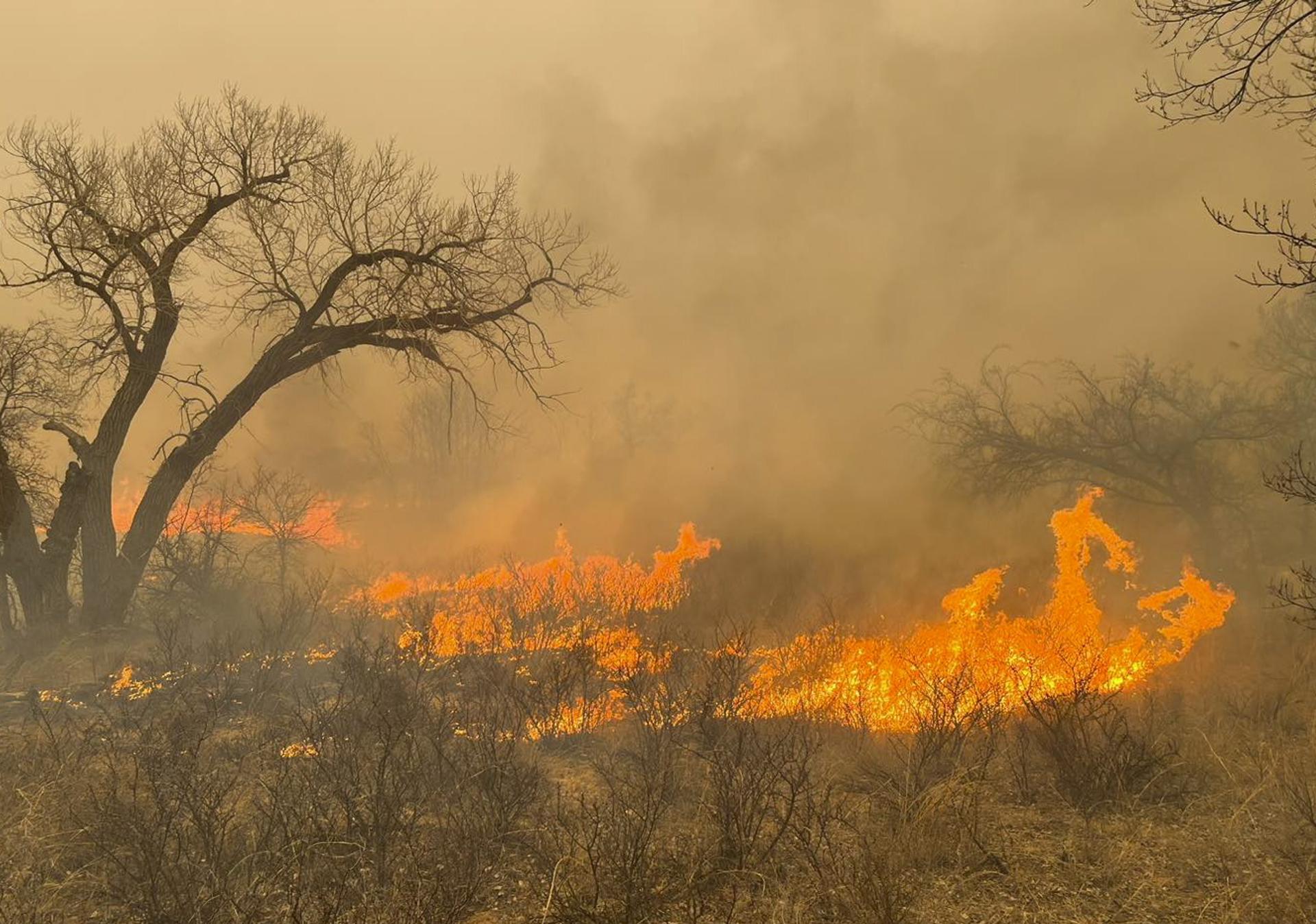 Peor incendio en la historia de Texas podría agravarse por viento y temperaturas