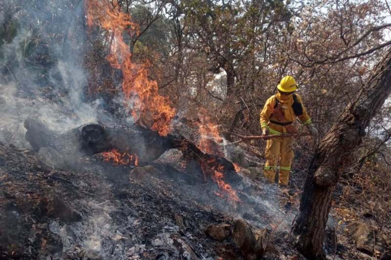 Conafor advierte condiciones adversas que favorecerán incendios; alista 14 mil combatientes