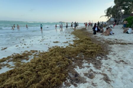 Playa del Carmen refuerza limpieza de sargazo ante llegada de turistas en Semana Santa