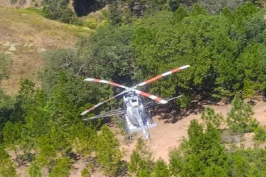 Ejército destruye 203 plantíos de amapola y mariguana en seis estados