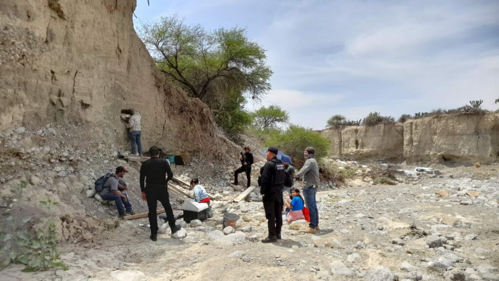 Hallan posibles restos de mamut en Tamaulipas